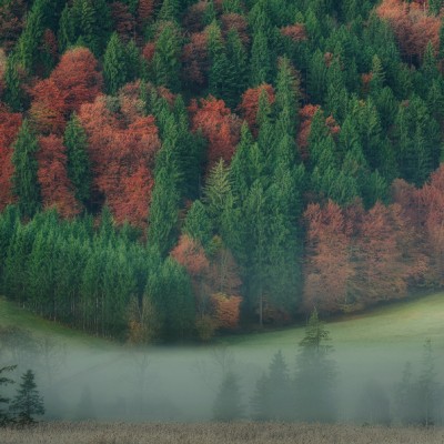 Herbst in den Ammergauer Alpen, Simon Bauer