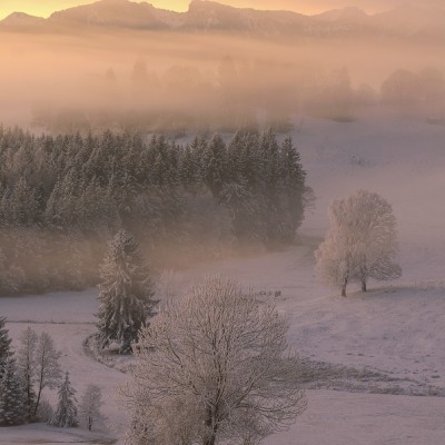 Verschneiter Morgen im Alpenvorland Simon Bauer