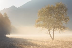 Landschaftsfotografie Simon Bauer Oberammergau Nebel Sonne